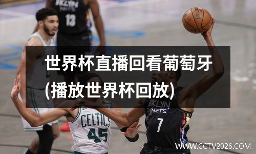 世界杯直播回看葡萄牙(播放世界杯回放)