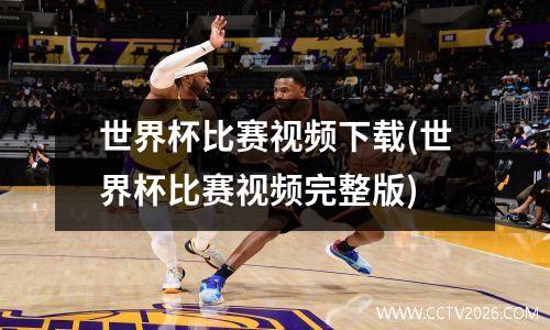 世界杯比赛视频下载(世界杯比赛视频完整版)