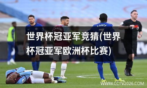 世界杯冠亚军竞猜(世界杯冠亚军欧洲杯比赛)