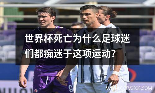 世界杯死亡为什么足球迷们都痴迷于这项运动？