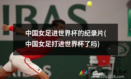 中国女足进世界杯的纪录片(中国女足打进世界杯了吗)