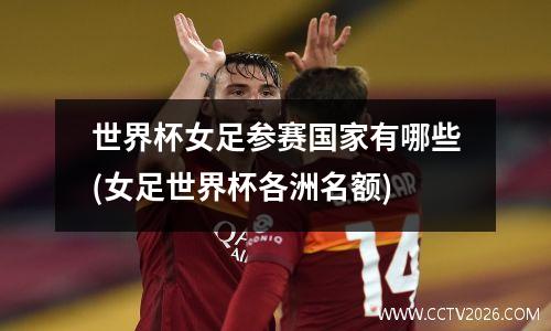 世界杯女足参赛国家有哪些(女足世界杯各洲名额)
