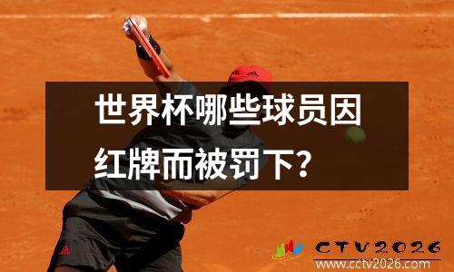 世界杯哪些球员因红牌而被罚下？