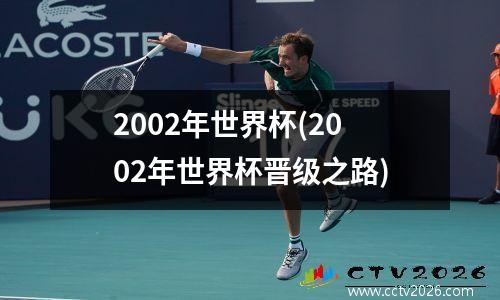2002年世界杯(2002年世界杯晋级之路)