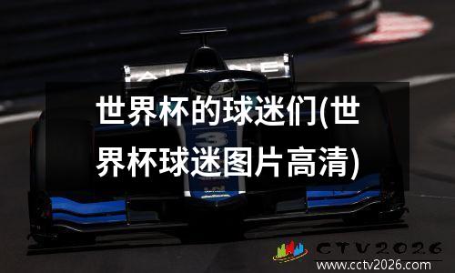 世界杯的球迷们(世界杯球迷图片高清)