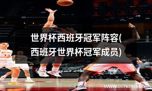 世界杯西班牙冠军阵容(西班牙世界杯冠军成员)
