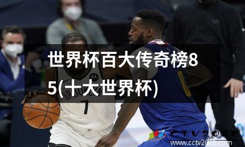 世界杯百大传奇榜85(十大世界杯)