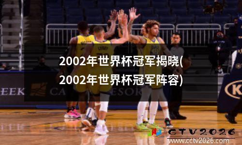 2002年世界杯冠军揭晓(2002年世界杯冠军阵容)