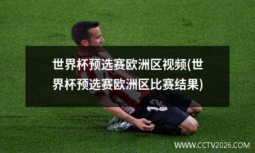 世界杯预选赛欧洲区视频(世界杯预选赛欧洲区比赛结果)