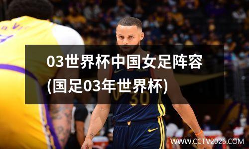 03世界杯中国女足阵容(国足03年世界杯)