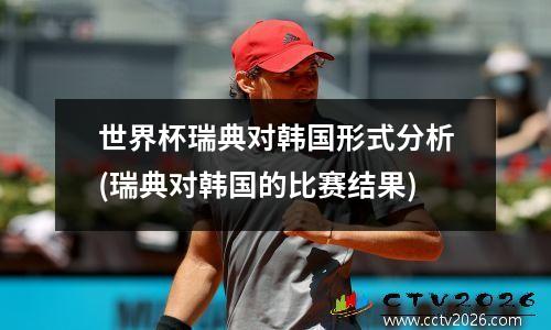 世界杯瑞典对韩国形式分析(瑞典对韩国的比赛结果)