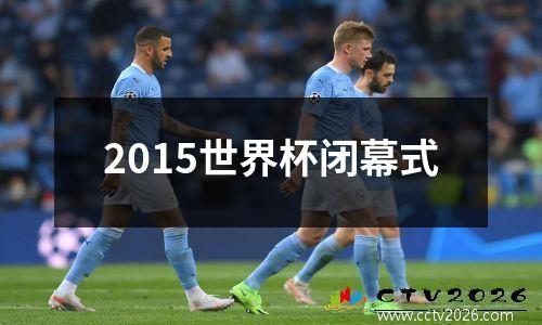2015世界杯闭幕式