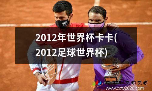 2012年世界杯卡卡(2012足球世界杯)