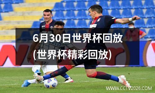 6月30日世界杯回放(世界杯精彩回放)
