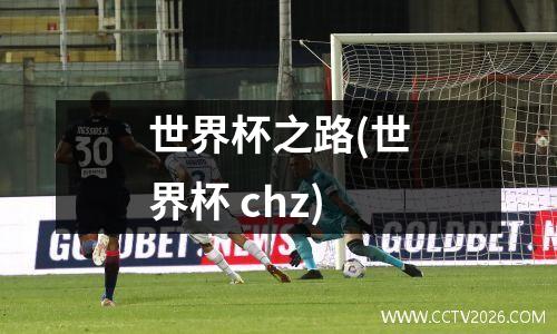 世界杯之路(世界杯 chz)