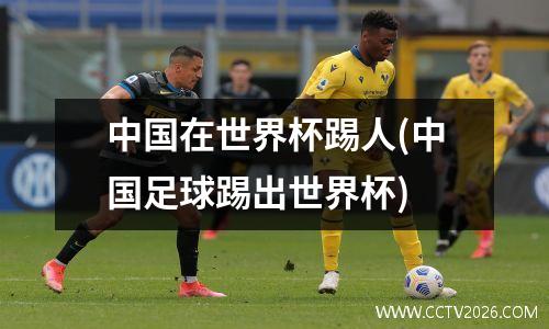 中国在世界杯踢人(中国足球踢出世界杯)