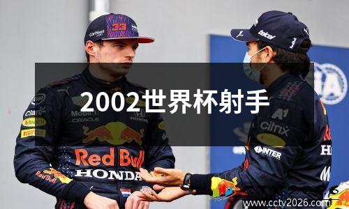 2002世界杯射手