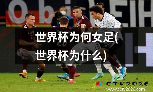 世界杯为何女足(世界杯为什么)
