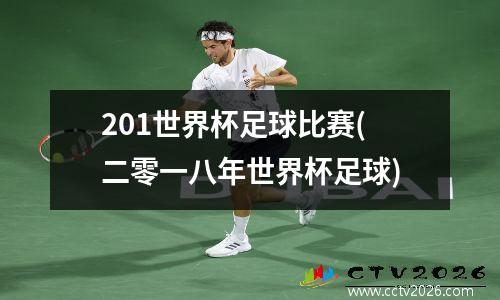 201世界杯足球比赛(二零一八年世界杯足球)