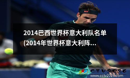 2014巴西世界杯意大利队名单(2014年世界杯意大利阵容)
