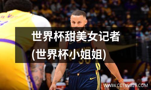 世界杯甜美女记者(世界杯小姐姐)
