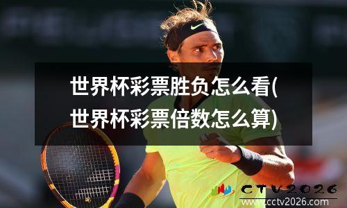 世界杯彩票胜负怎么看(世界杯彩票倍数怎么算)