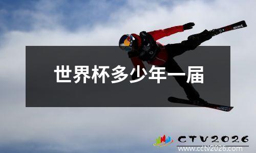 世界杯多少年一届