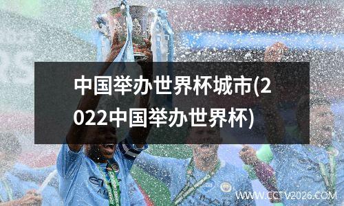 中国举办世界杯城市(2022中国举办世界杯)