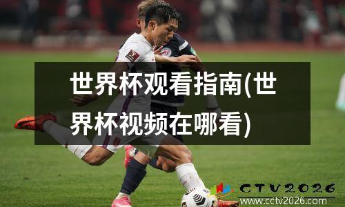世界杯观看指南(世界杯视频在哪看)
