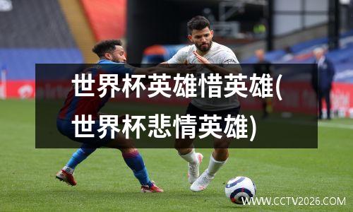世界杯英雄惜英雄(世界杯悲情英雄)