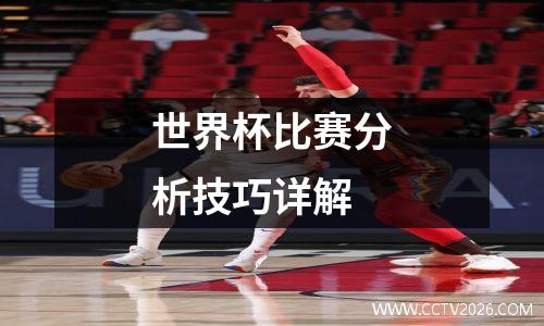 世界杯比赛分析技巧详解