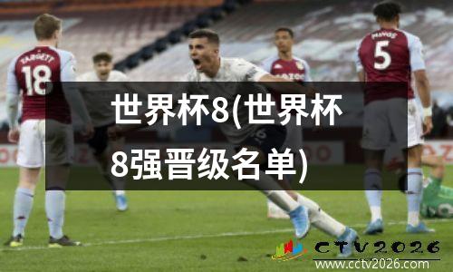 世界杯8(世界杯8强晋级名单)