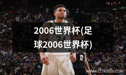 2006世界杯(足球2006世界杯)
