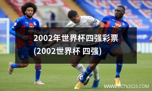 2002年世界杯四强彩票(2002世界杯 四强)