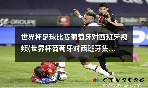 世界杯足球比赛葡萄牙对西班牙视频(世界杯葡萄牙对西班牙集锦)