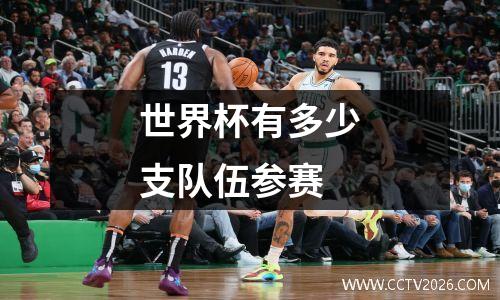 世界杯有多少支队伍参赛