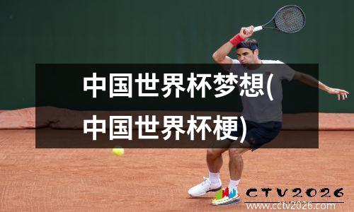 中国世界杯梦想(中国世界杯梗)