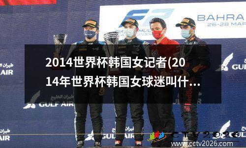 2014世界杯韩国女记者(2014年世界杯韩国女球迷叫什么)