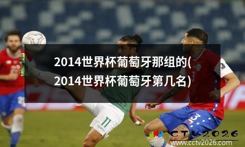 2014世界杯葡萄牙那组的(2014世界杯葡萄牙第几名)