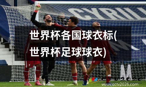 世界杯各国球衣标(世界杯足球球衣)