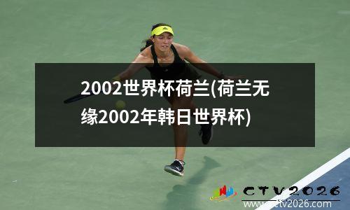 2002世界杯荷兰(荷兰无缘2002年韩日世界杯)