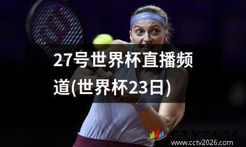 27号世界杯直播频道(世界杯23日)