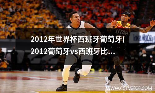 2012年世界杯西班牙葡萄牙(2012葡萄牙vs西班牙比分)