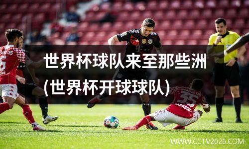 世界杯球队来至那些洲(世界杯开球球队)