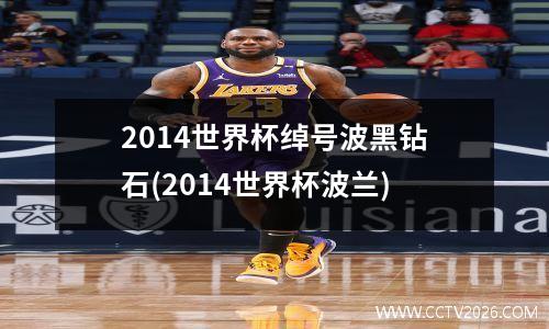 2014世界杯绰号波黑钻石(2014世界杯波兰)