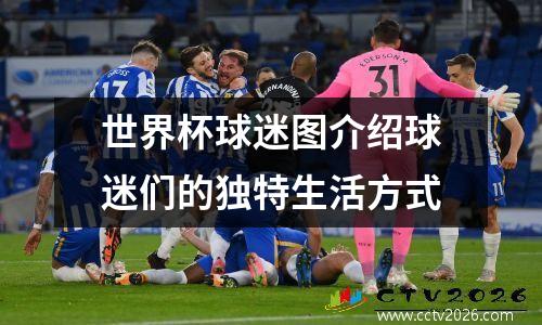 世界杯球迷图介绍球迷们的独特生活方式