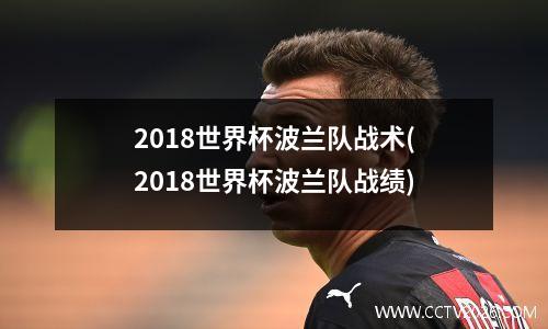 2018世界杯波兰队战术(2018世界杯波兰队战绩)