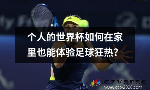 个人的世界杯如何在家里也能体验足球狂热？