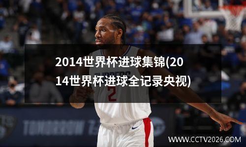 2014世界杯进球集锦(2014世界杯进球全记录央视)