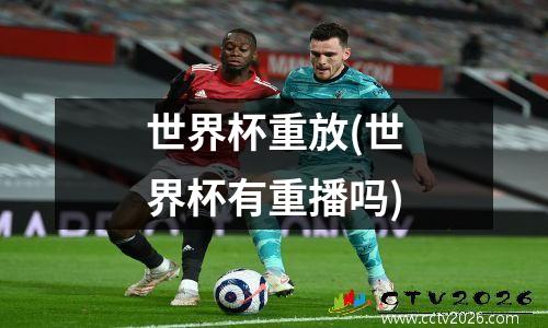 世界杯重放(世界杯有重播吗)